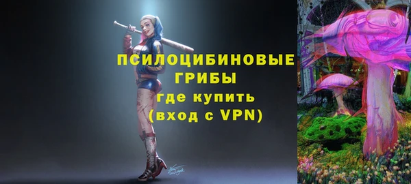 дживик Балахна