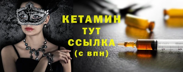 твердый Пересвет