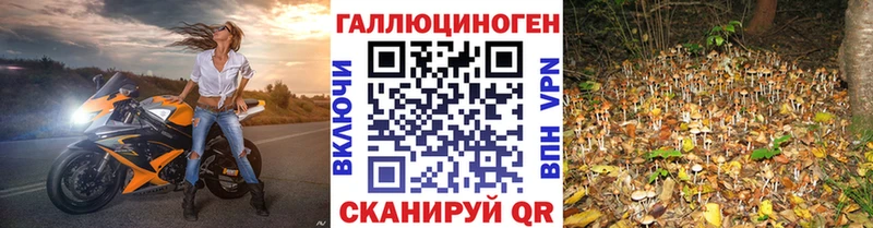 даркнет сайт Трёхгорный Галлюциногенные грибы ЛСД