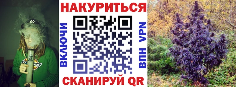 как найти   Трёхгорный  Конопля THC 21% 